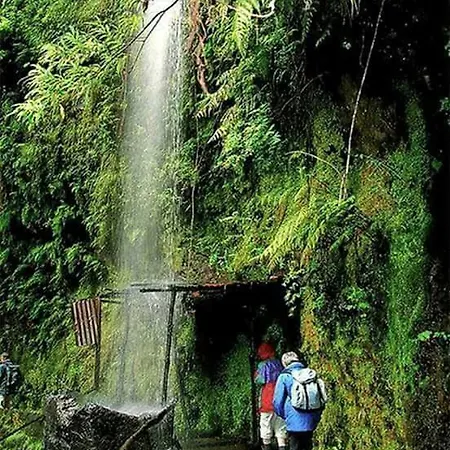 Casa Tipica De Santana - Casa Do Avo Santana (Madeira)
