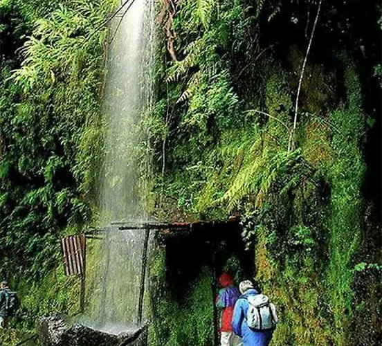 Casa Tipica De Santana - Casa Do Avo Santana (Madeira)