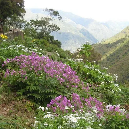 Сasa de vacaciones Casa Típica De Santana – Casa Do Avô Santana (Madeira)